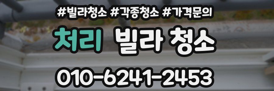 처리 빌라 청소