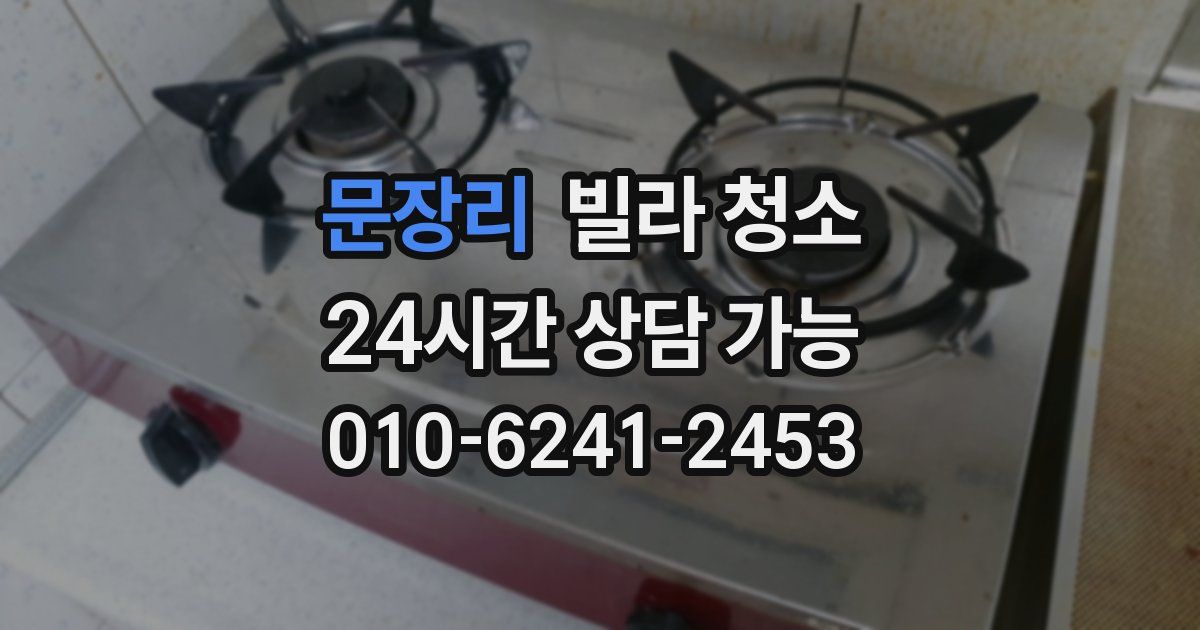 문장리 빌라 청소