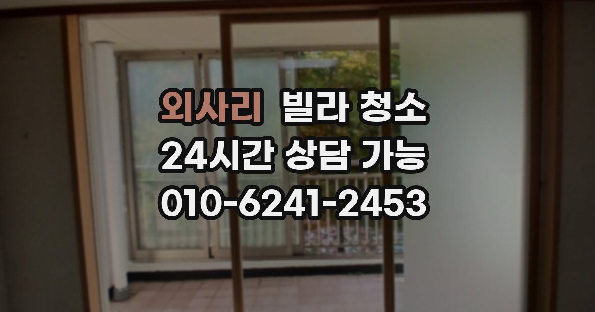 외사리 빌라 청소