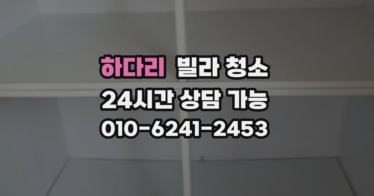 하다리 빌라 청소