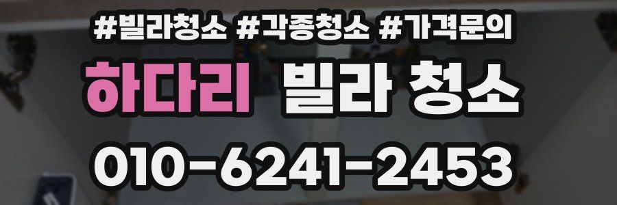 하다리 빌라 청소