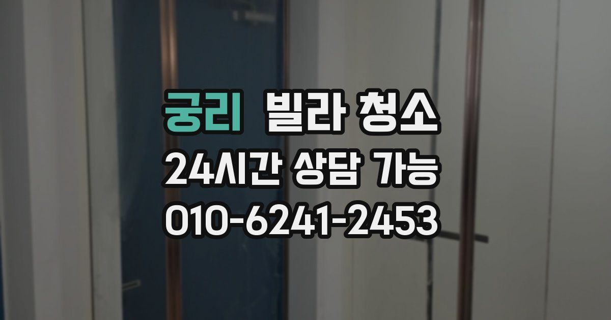 궁리 빌라 청소