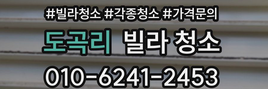 도곡리 빌라 청소