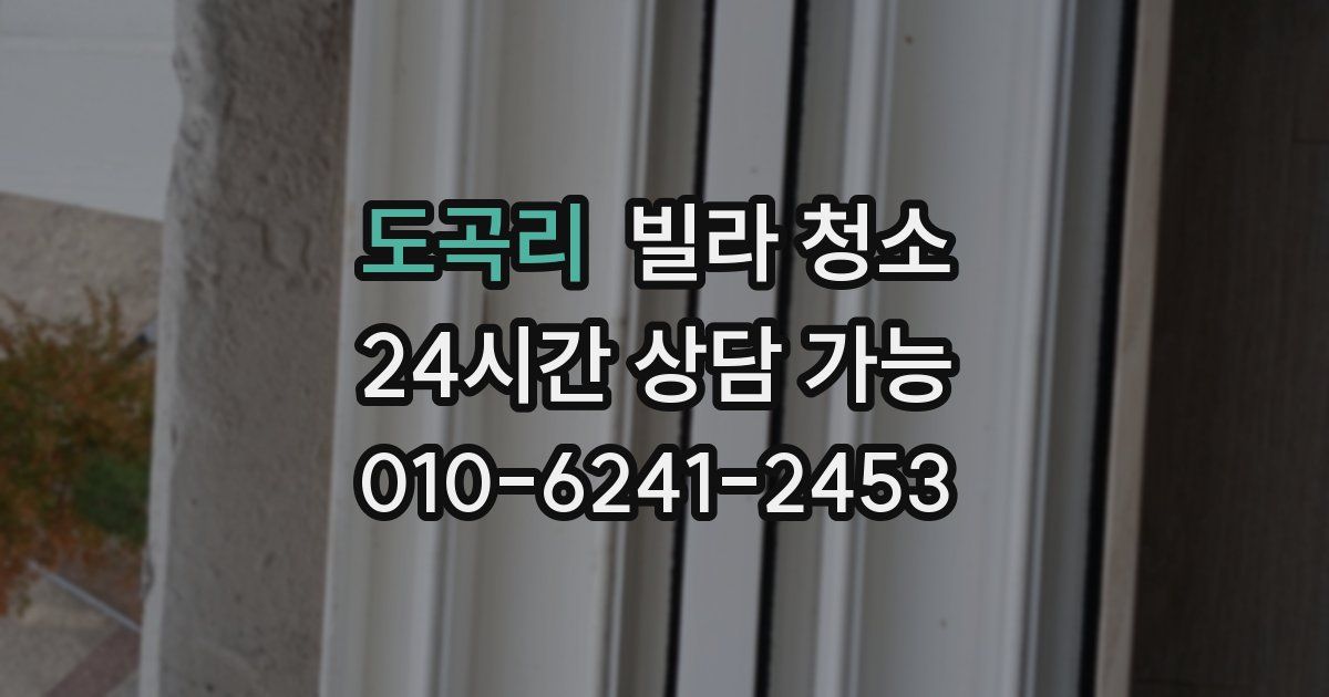 도곡리 빌라 청소