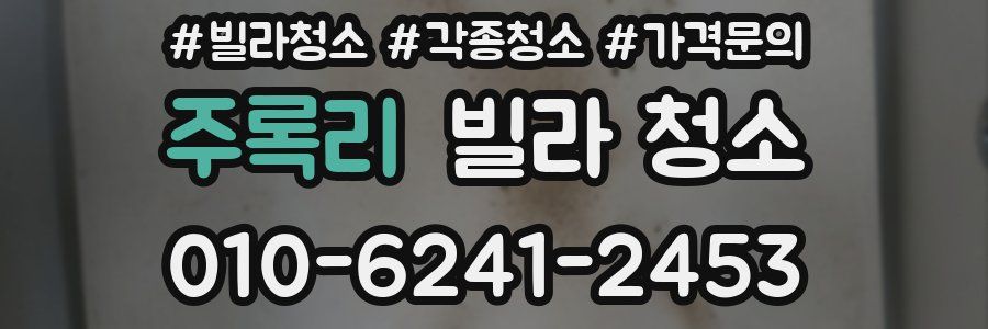 주록리 빌라 청소