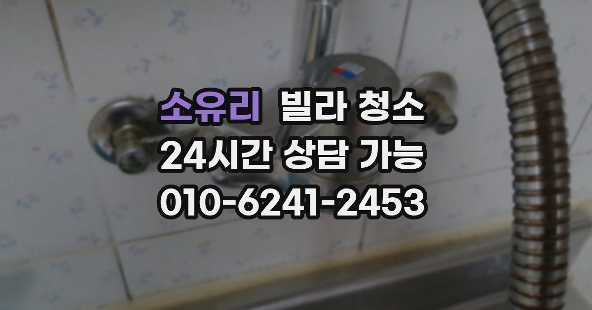 소유리 빌라 청소