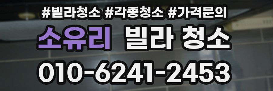 소유리 빌라 청소