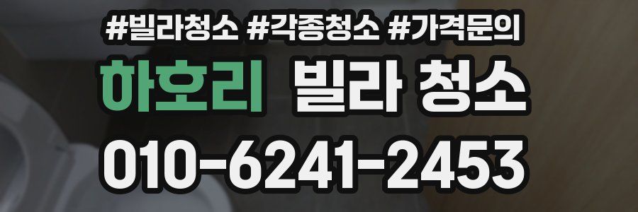 하호리 빌라 청소
