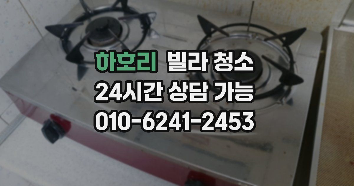 하호리 빌라 청소