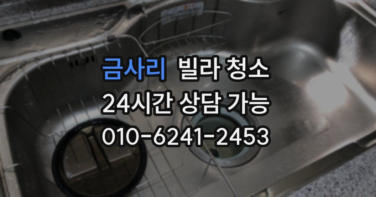 금사리 빌라 청소