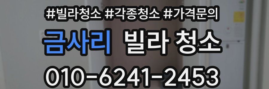 금사리 빌라 청소