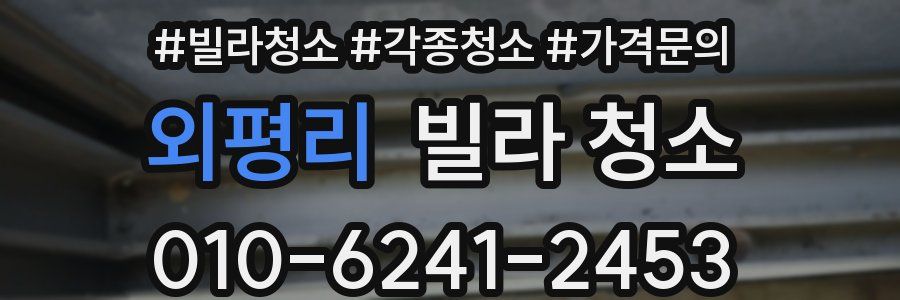 외평리 빌라 청소