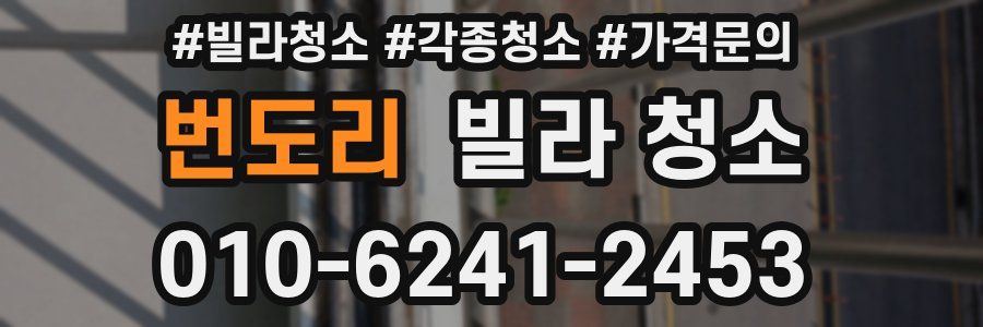 번도리 빌라 청소