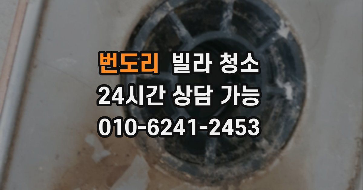 번도리 빌라 청소