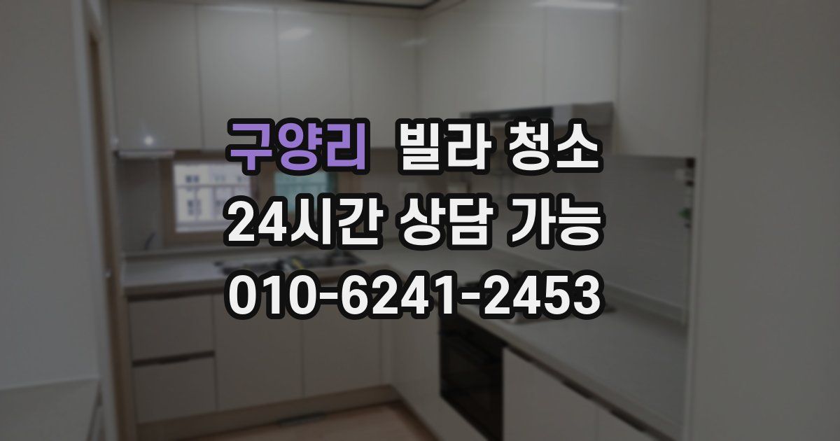 구양리 빌라 청소