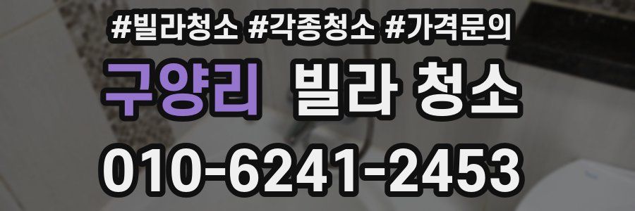 구양리 빌라 청소