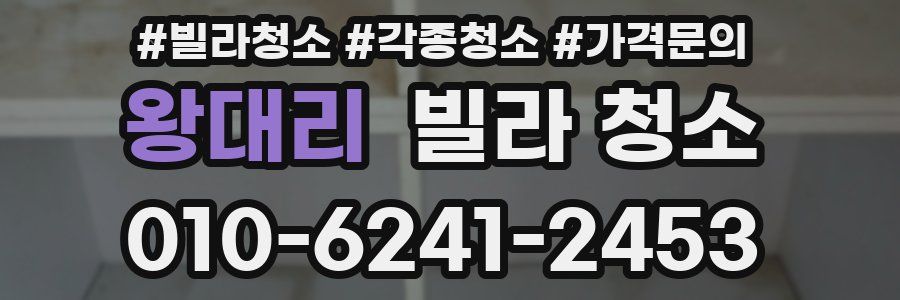 왕대리 빌라 청소