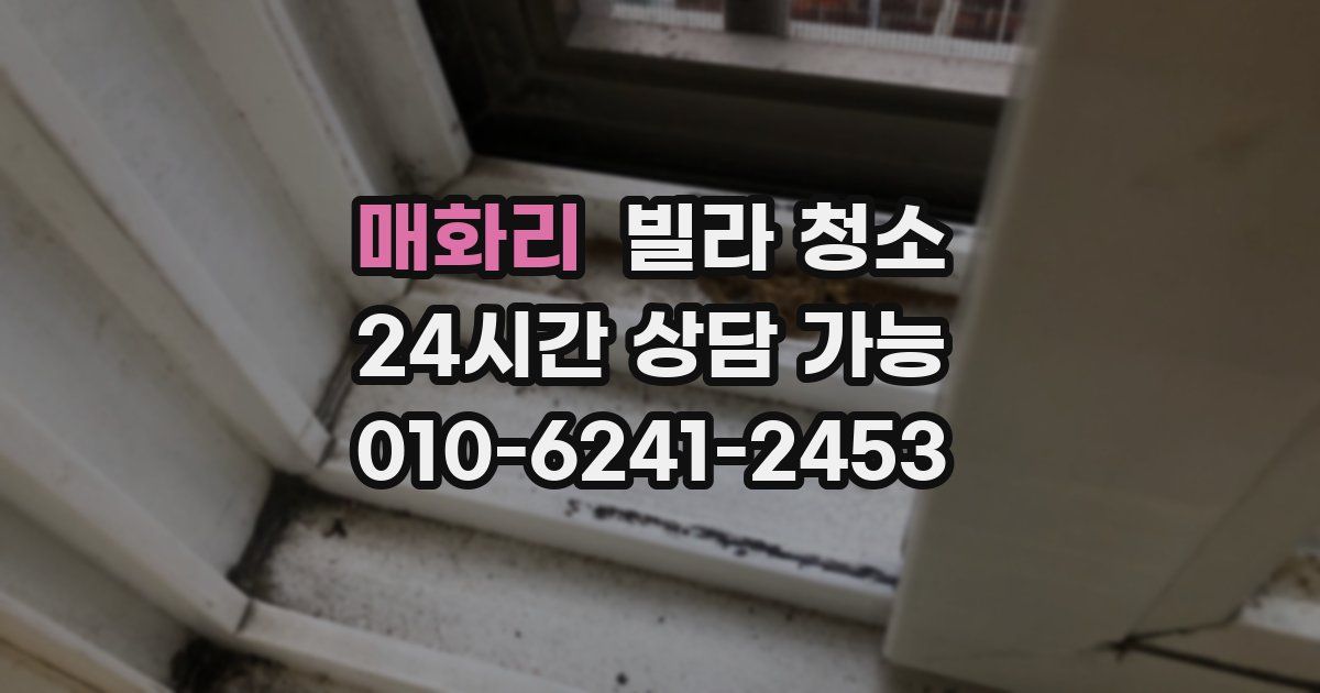 매화리 빌라 청소