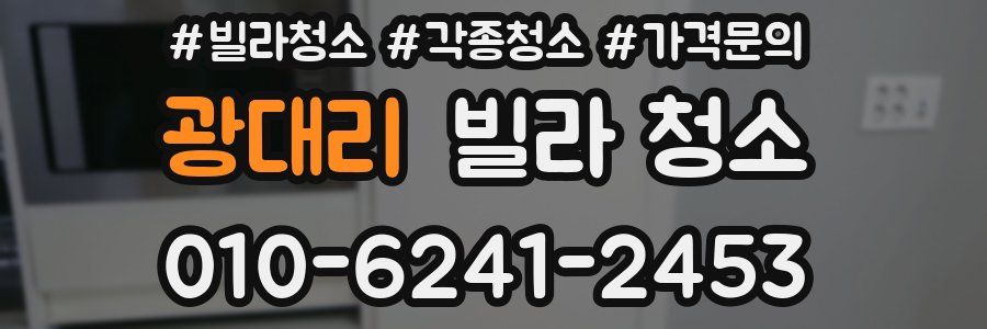 광대리 빌라 청소