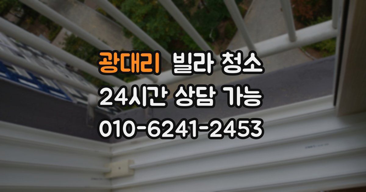 광대리 빌라 청소