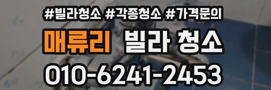 매류리 빌라 청소