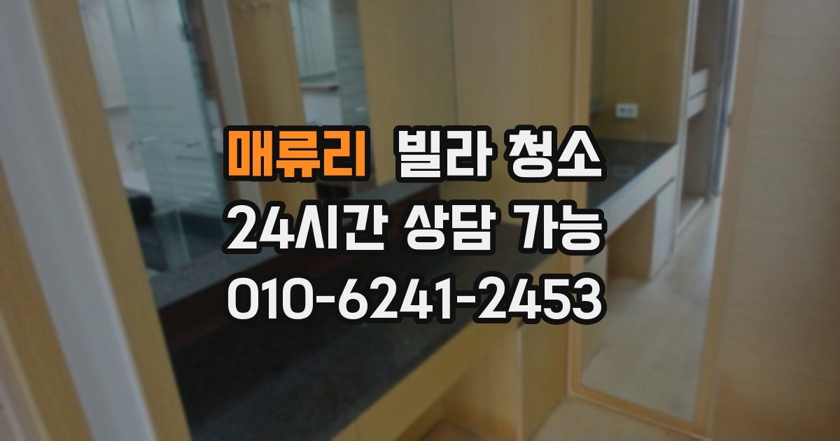 매류리 빌라 청소