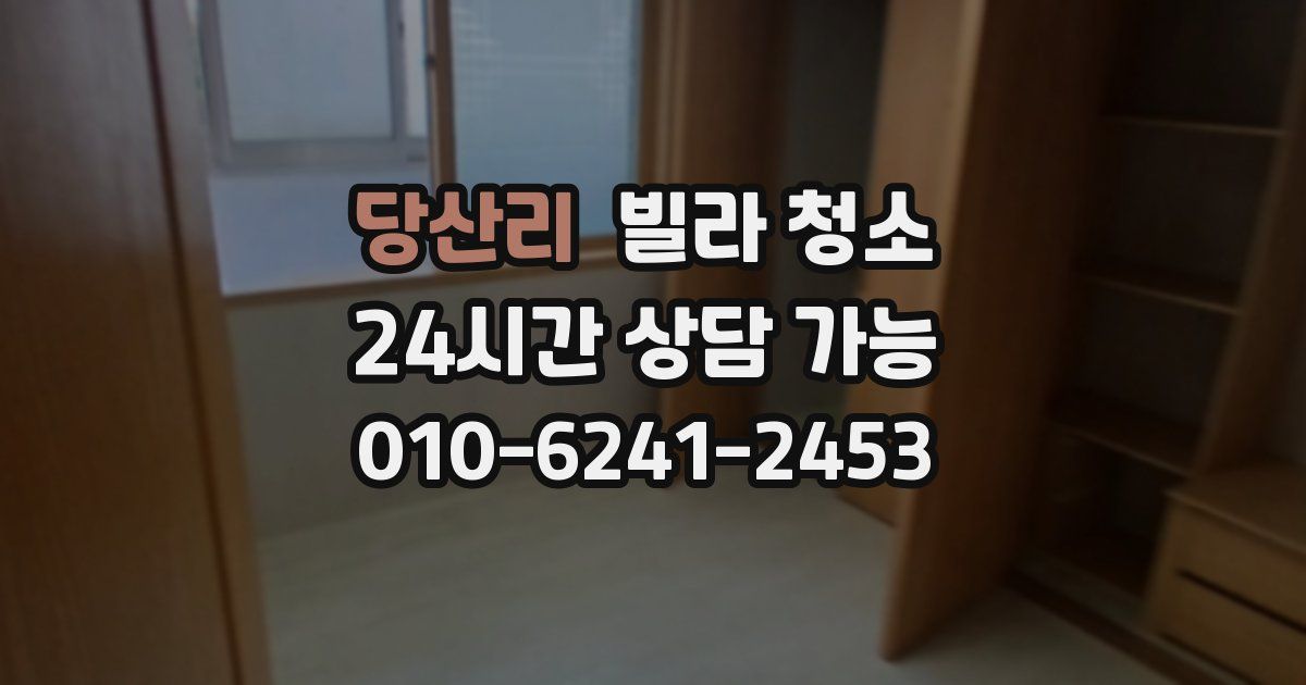 당산리 빌라 청소