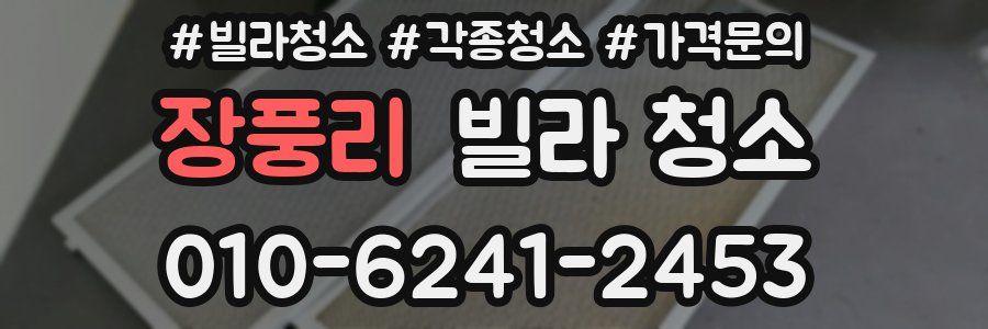 장풍리 빌라 청소