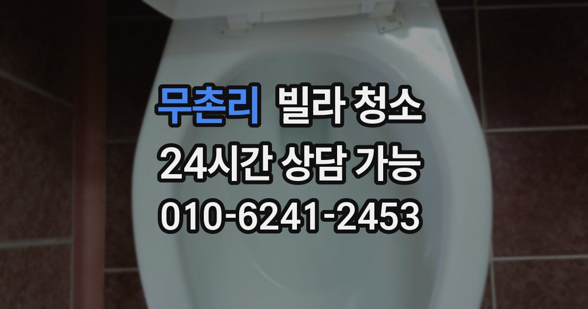 무촌리 빌라 청소