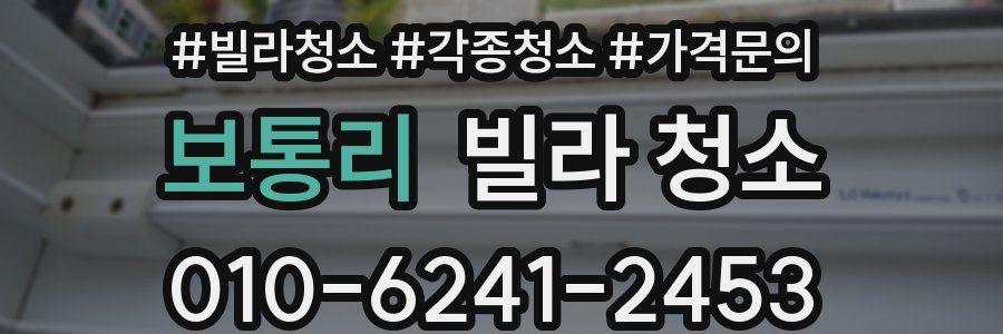 보통리 빌라 청소