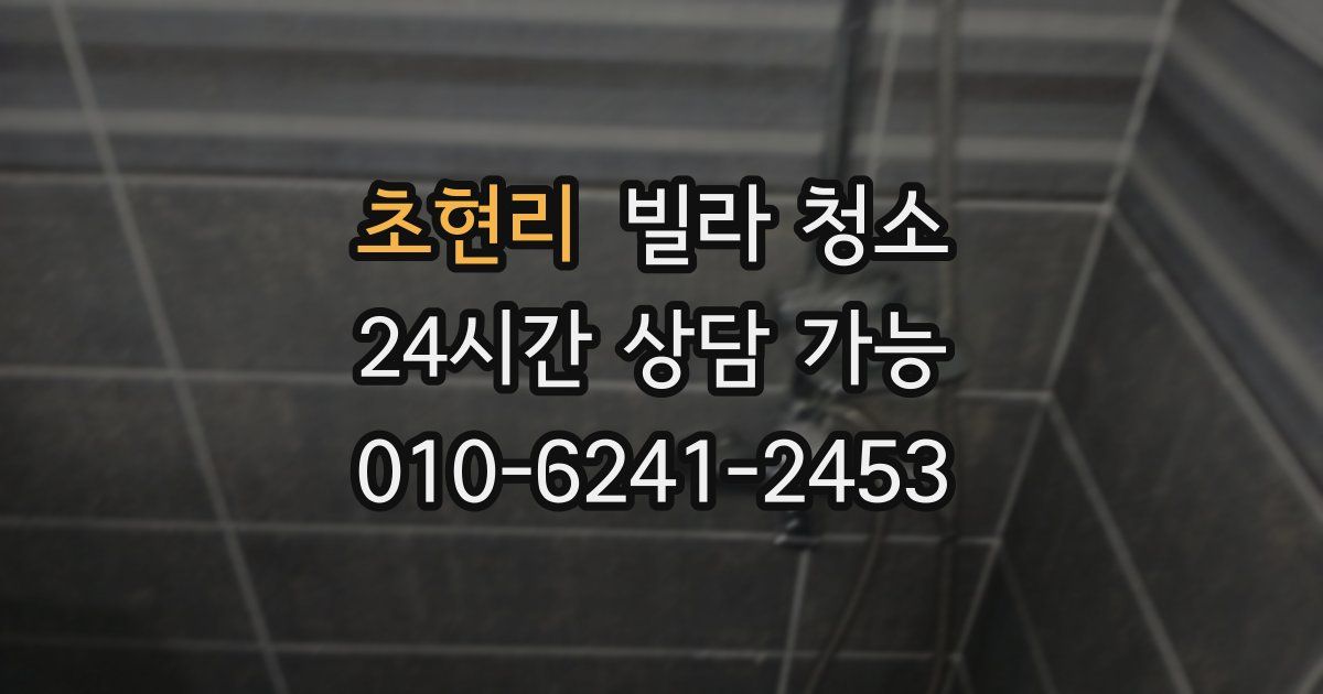 초현리 빌라 청소