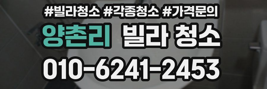 양촌리 빌라 청소