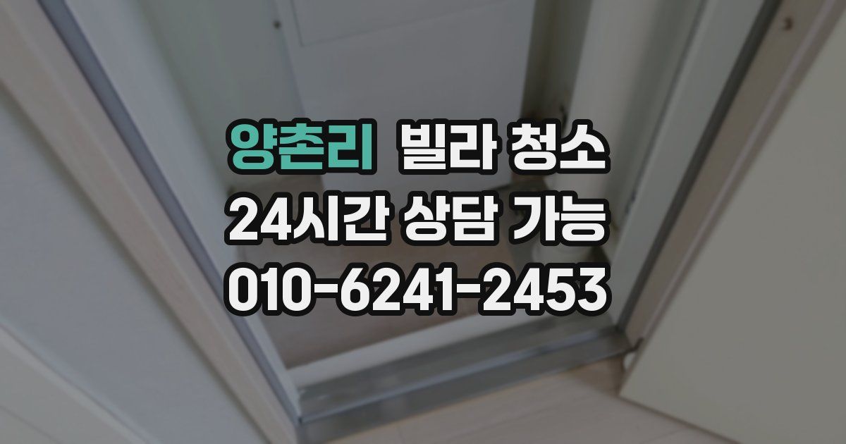 양촌리 빌라 청소