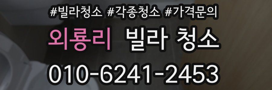 외룡리 빌라 청소