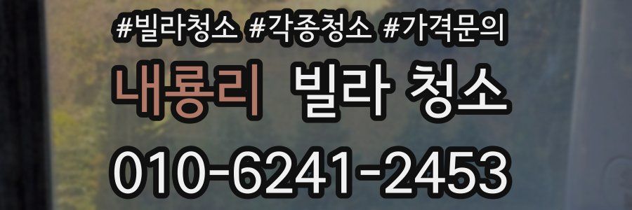 내룡리 빌라 청소