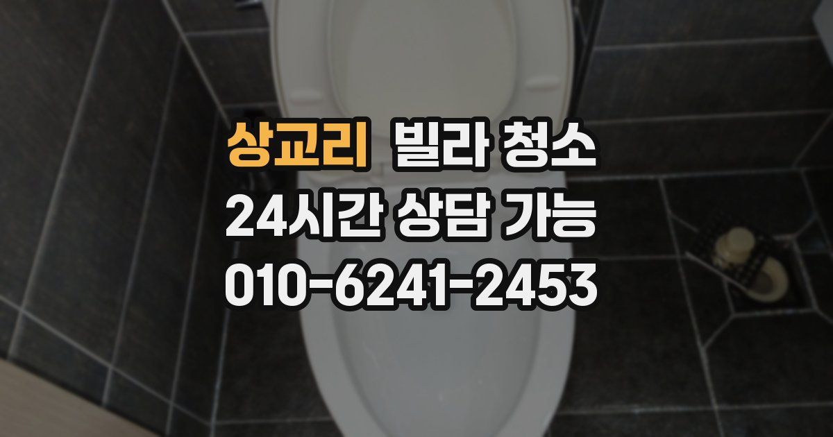 상교리 빌라 청소
