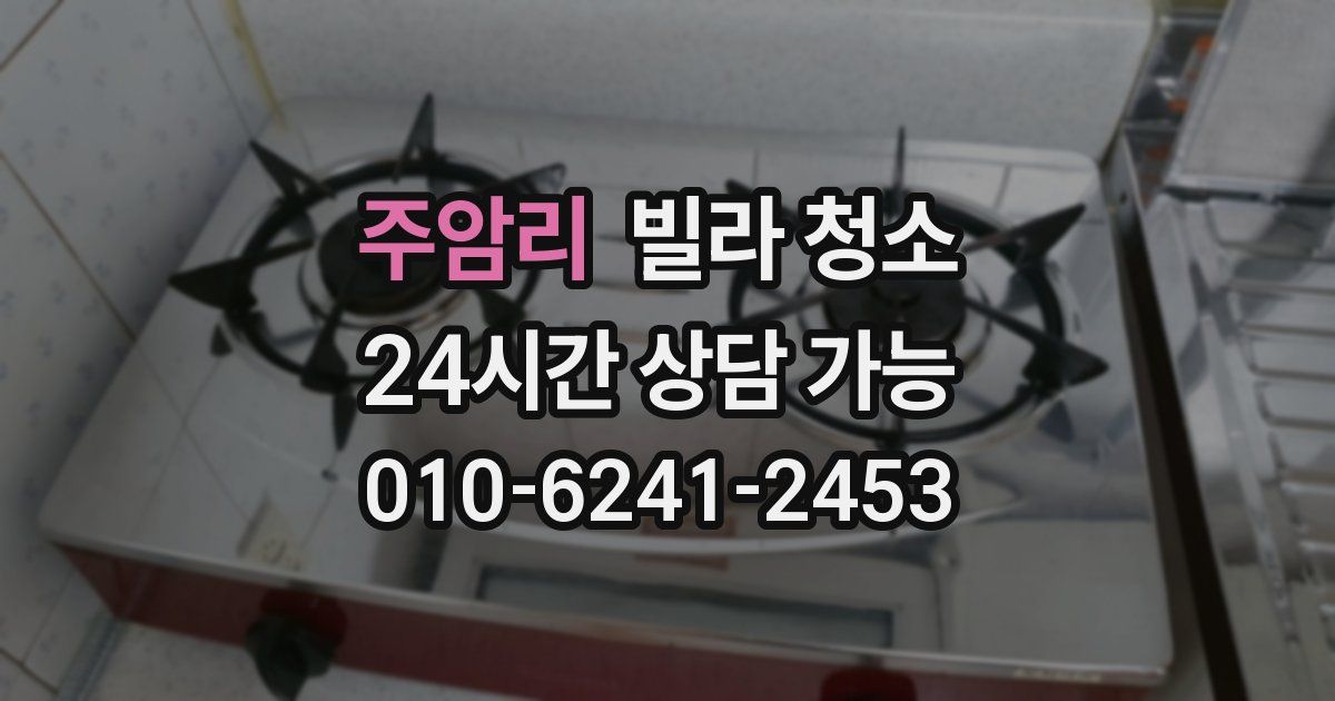 주암리 빌라 청소