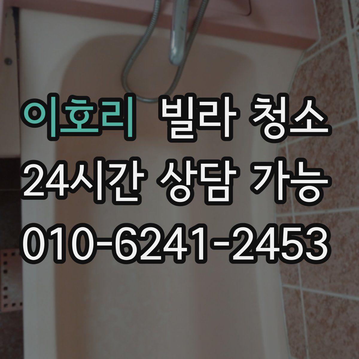 이호리 빌라 청소