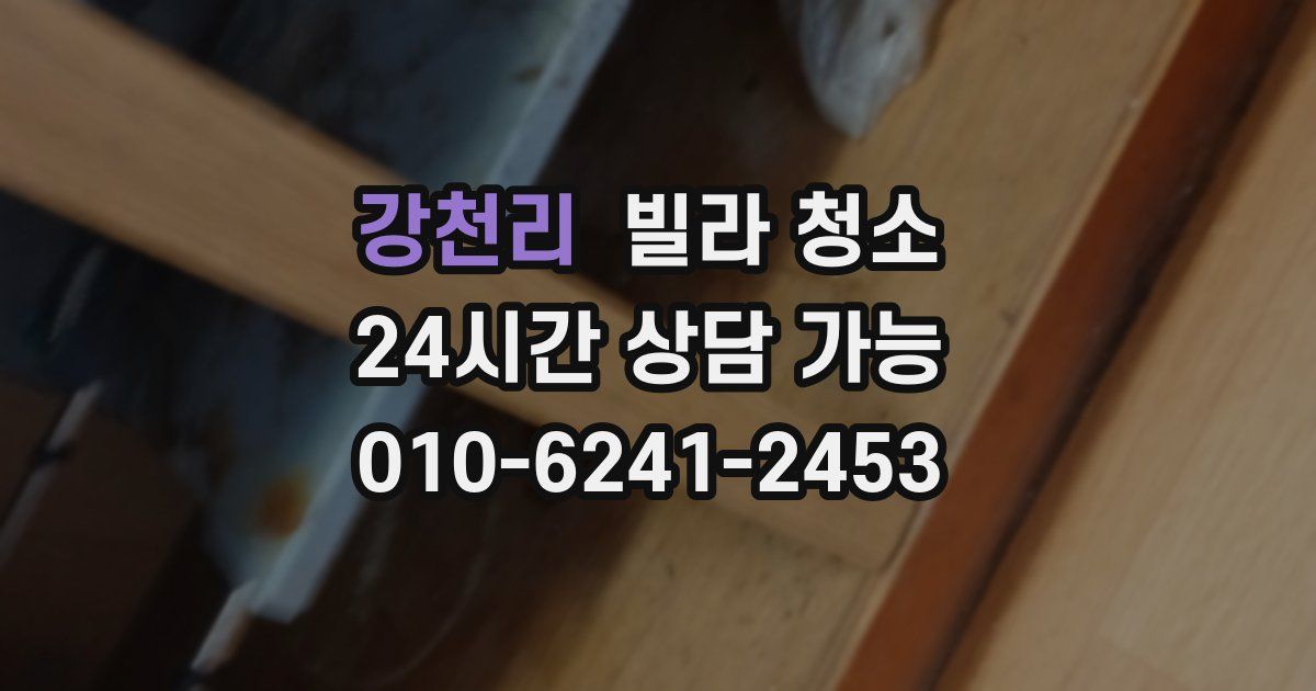 강천리 빌라 청소