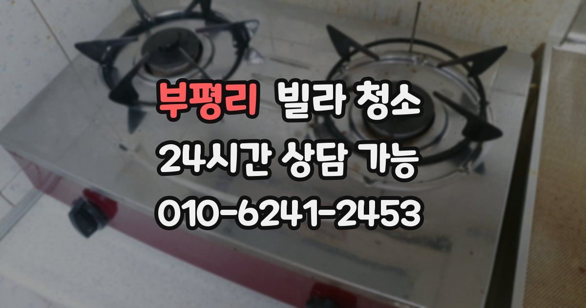 부평리 빌라 청소