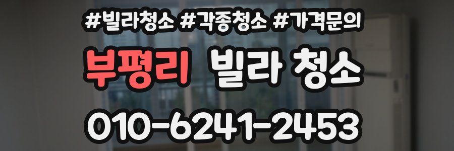 부평리 빌라 청소