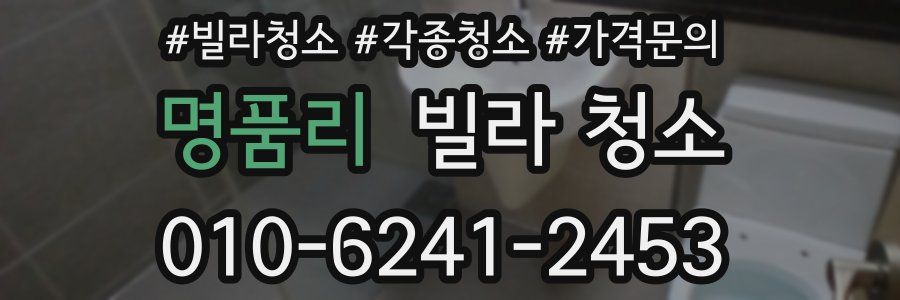 명품리 빌라 청소