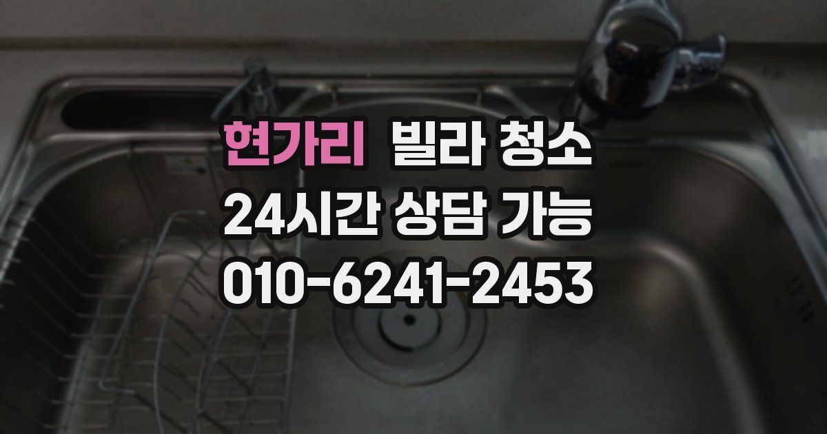 현가리 빌라 청소