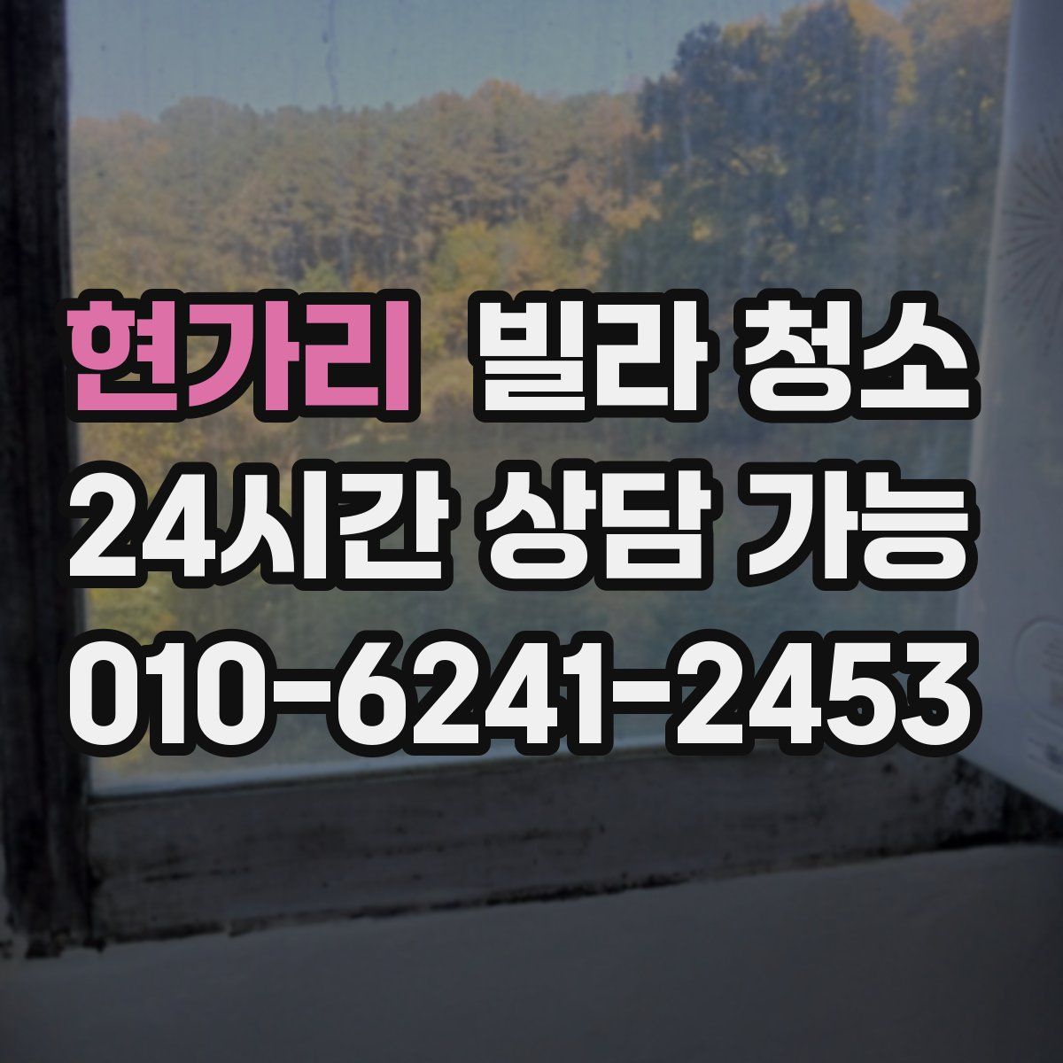 현가리 빌라 청소