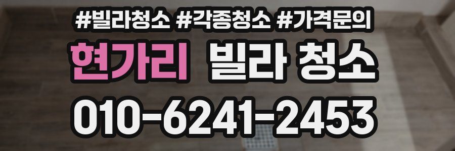 현가리 빌라 청소
