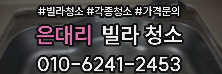 은대리 빌라 청소