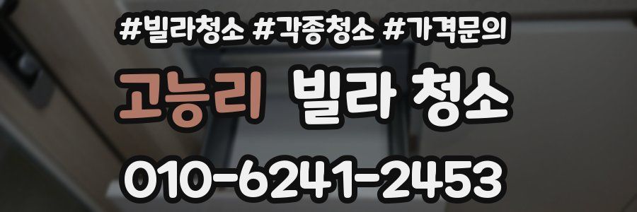 고능리 빌라 청소
