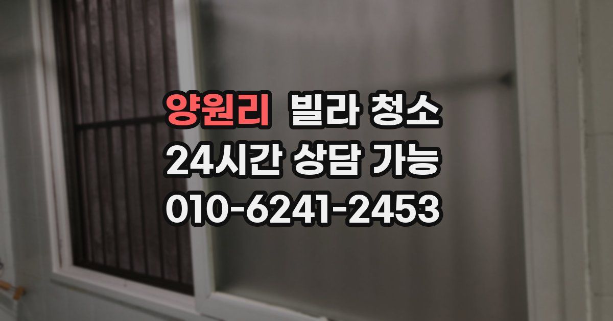 양원리 빌라 청소