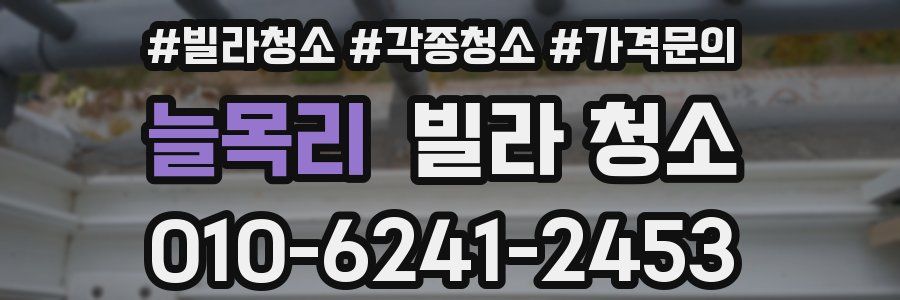 늘목리 빌라 청소
