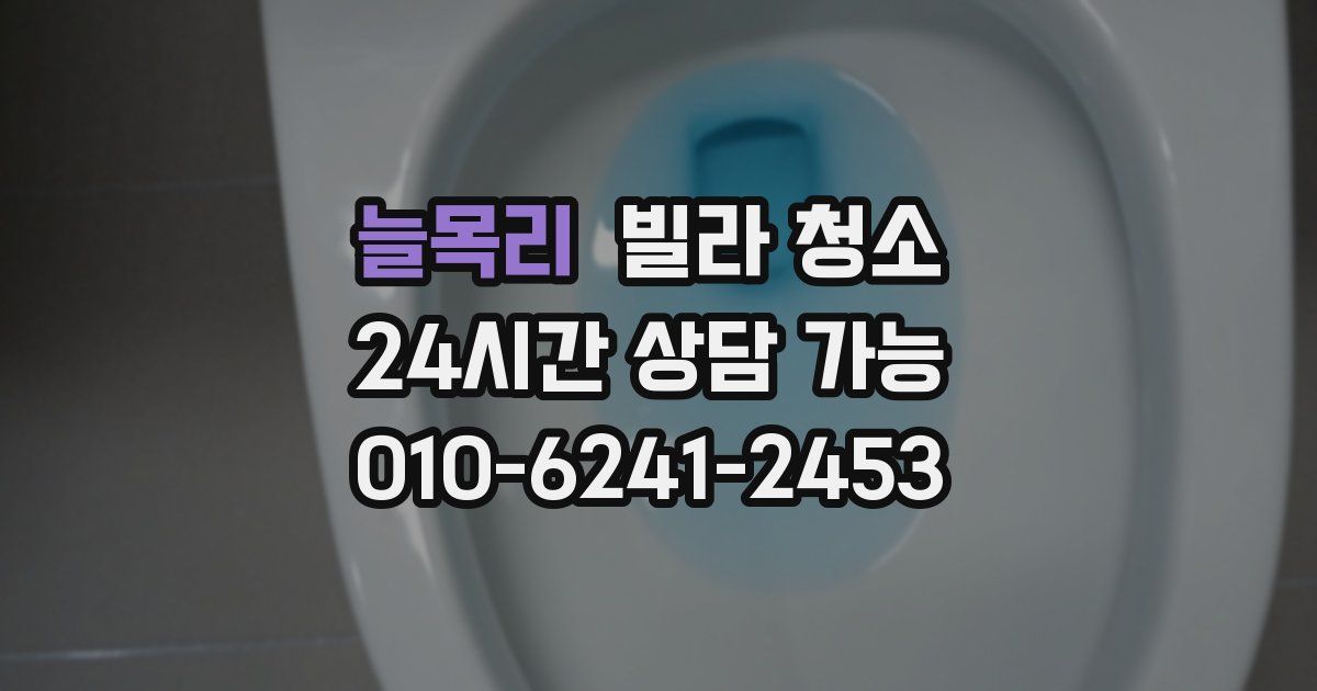 늘목리 빌라 청소